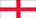 English Bull Terriers